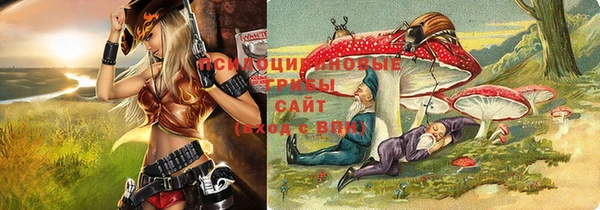 тгк Абинск