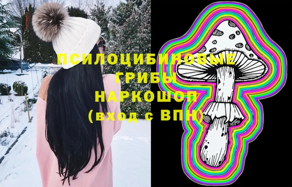 круглые Абаза