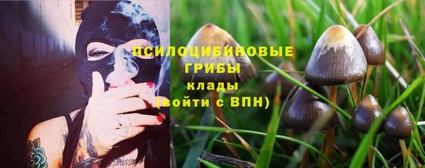 МДПВ Осташков