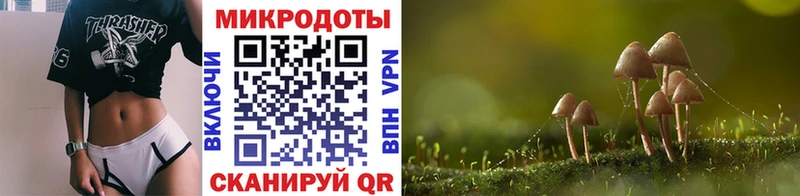 как найти закладки  Оса  Псилоцибиновые грибы мицелий 